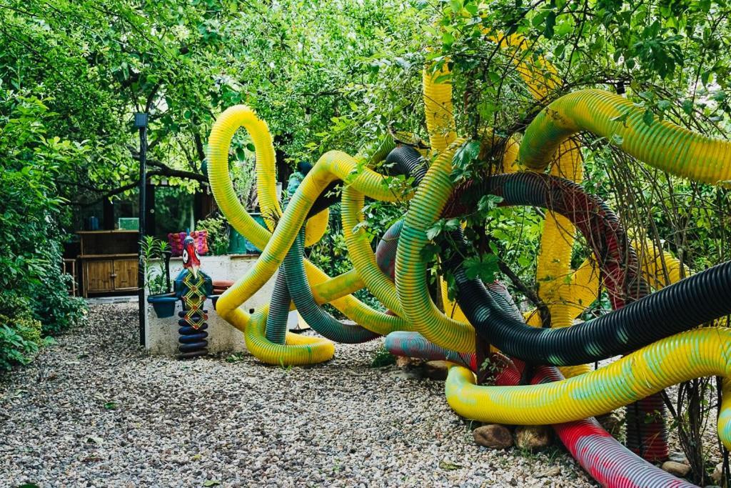 Maxia Galega -Arte, Natureza, Relax -Ribeira Sacra モンフォルテ・デ・レモス エクステリア 写真